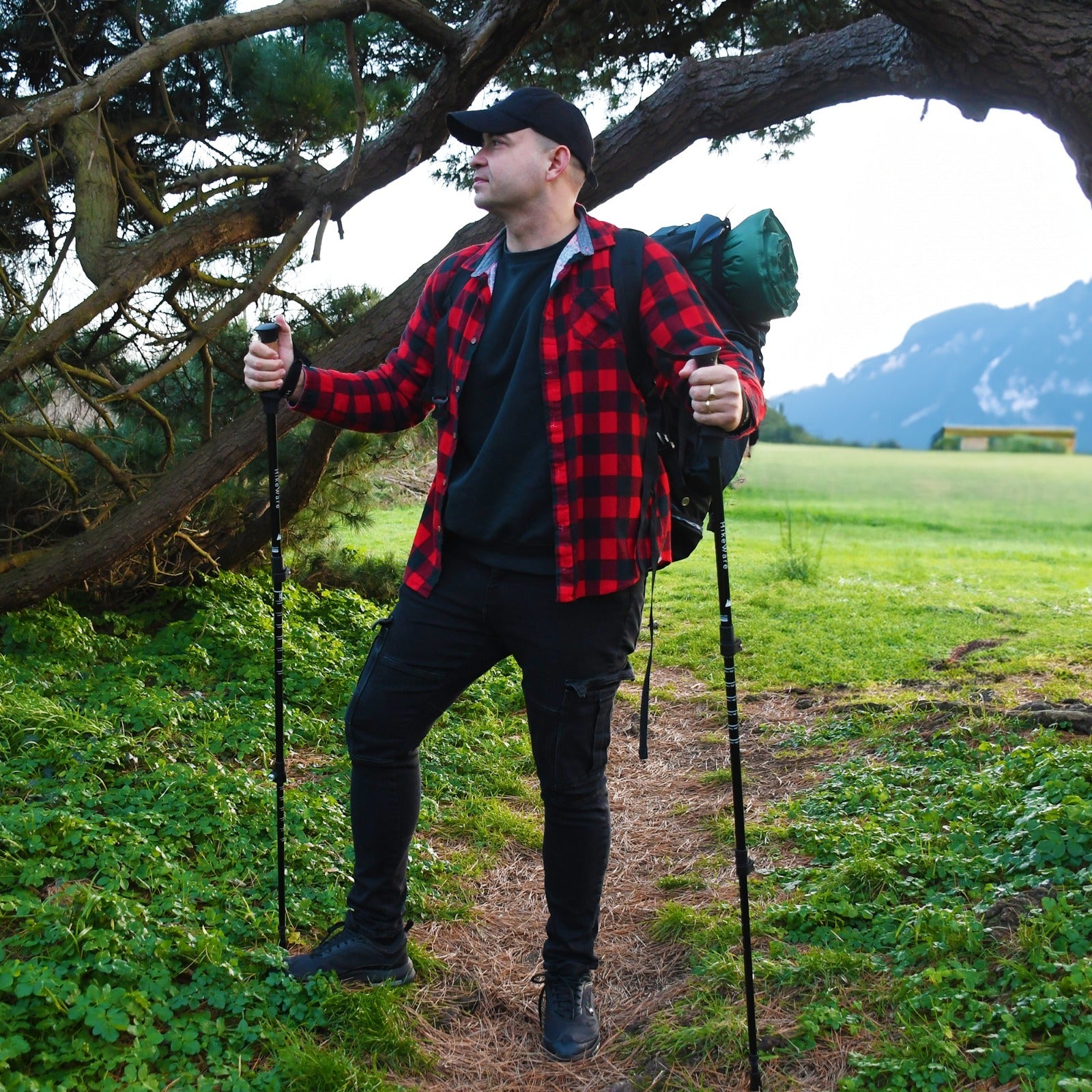 HikeWare aluminium hiking poles set up on a woodland trail, ready for outdoor hiking adventure in natural forest surroundings.