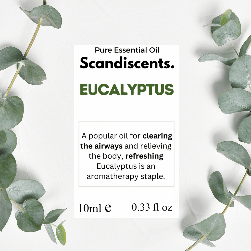 Scandiscents eucalyptus essential oil bottle with clear labeling, set against a neutral background.