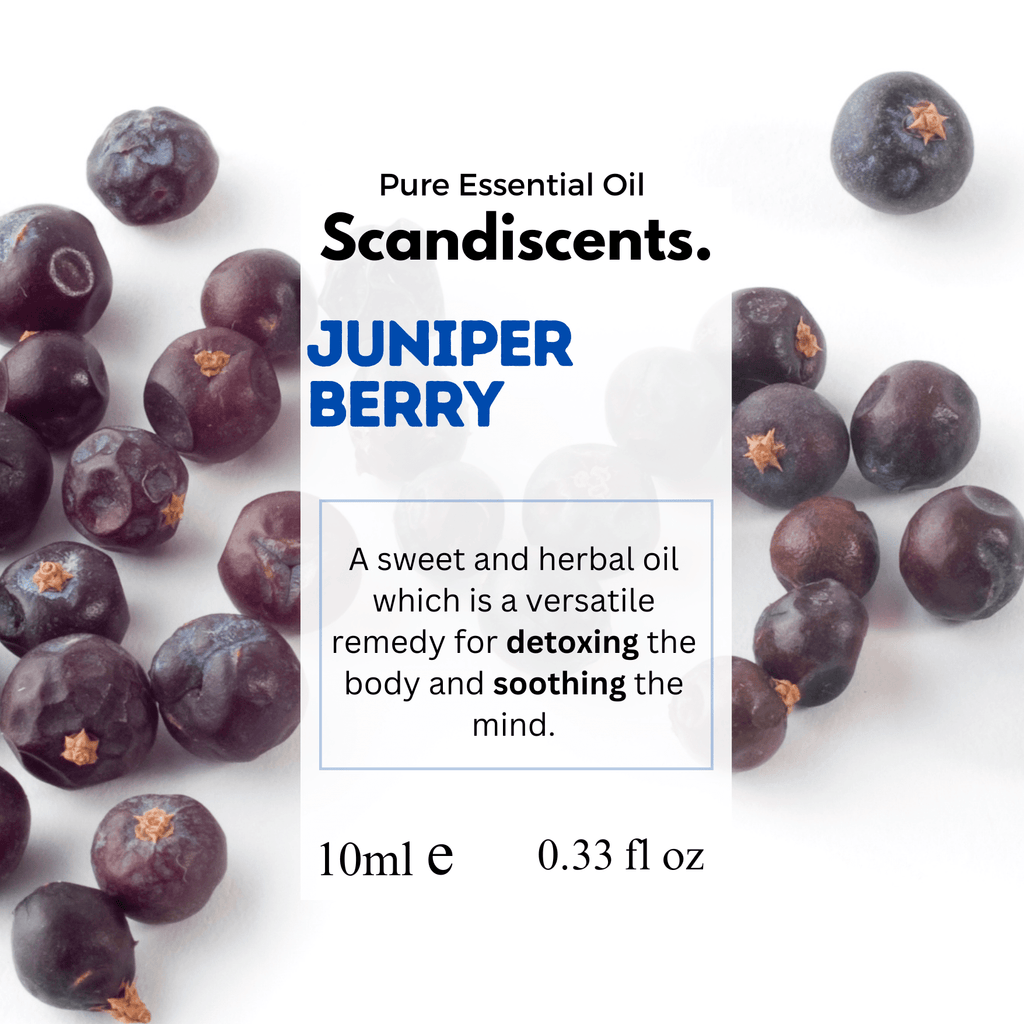 Scandiscents juniper berry essential oil bottle with a green label, surrounded by fresh juniper berries and green foliage.