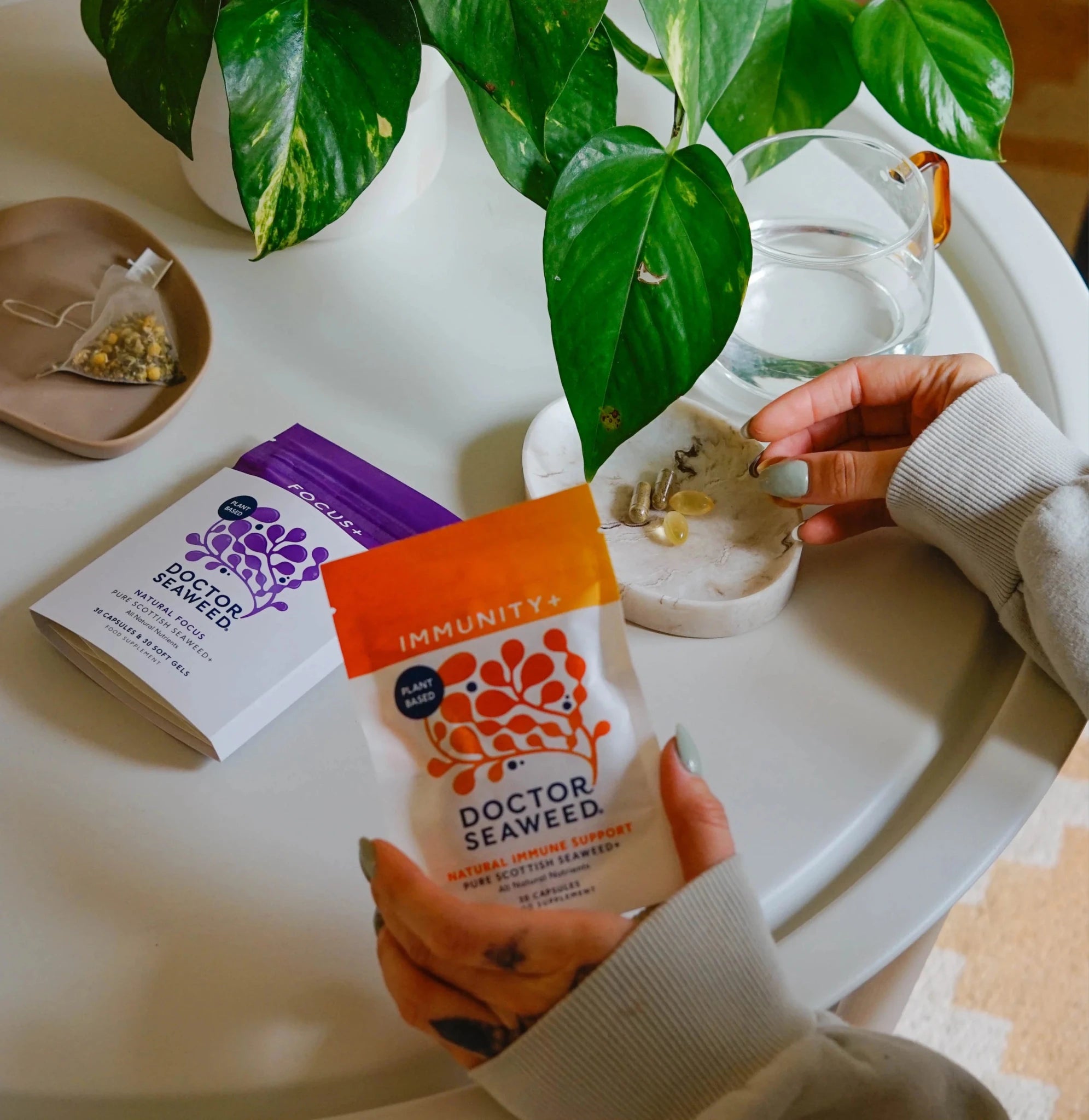 Doctor Seaweed Clarity & Defence Duo in autumn setting, featuring skincare products with natural ingredients and eco-friendly packaging.