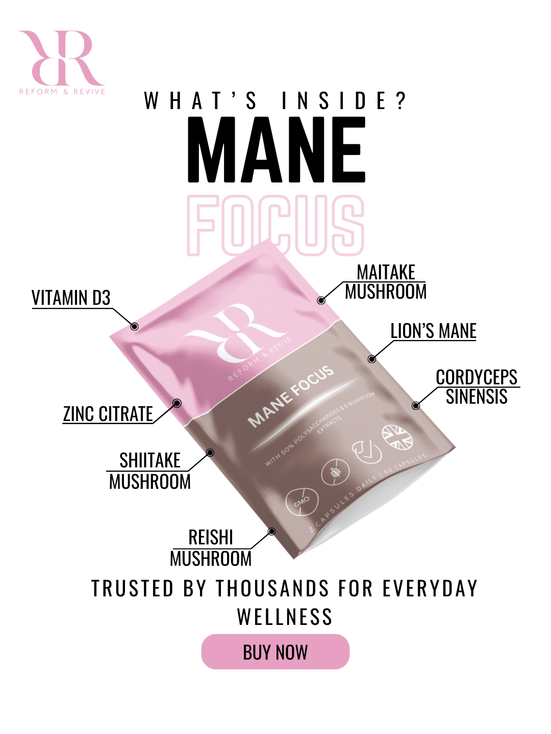 Reform and Revive Mane Focus+ vitamins bottle with colorful label, designed for cognitive support and mental clarity.