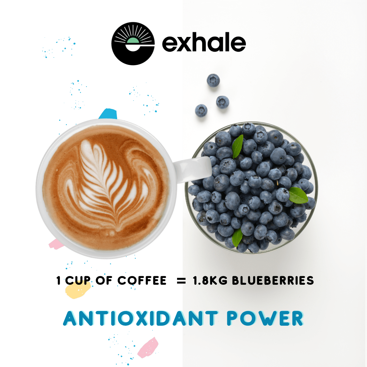 Organic decaf coffee bag from Exhale Healthy Coffee, showcasing antioxidant-rich coffee beans in a natural setting.