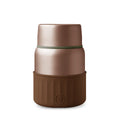 HYDY Metallic Fir Mocha Food Jar, 20 fl oz, with stainless steel exterior and secure lid, designed for keeping food fresh and warm.