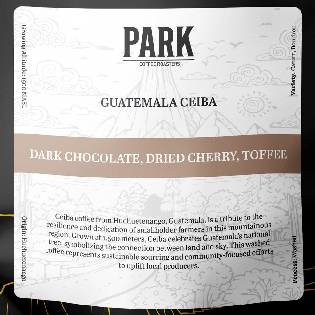 Close-up of Guatemala Ceiba coffee beans from Park Coffee, showing rich brown beans with a smooth surface.
