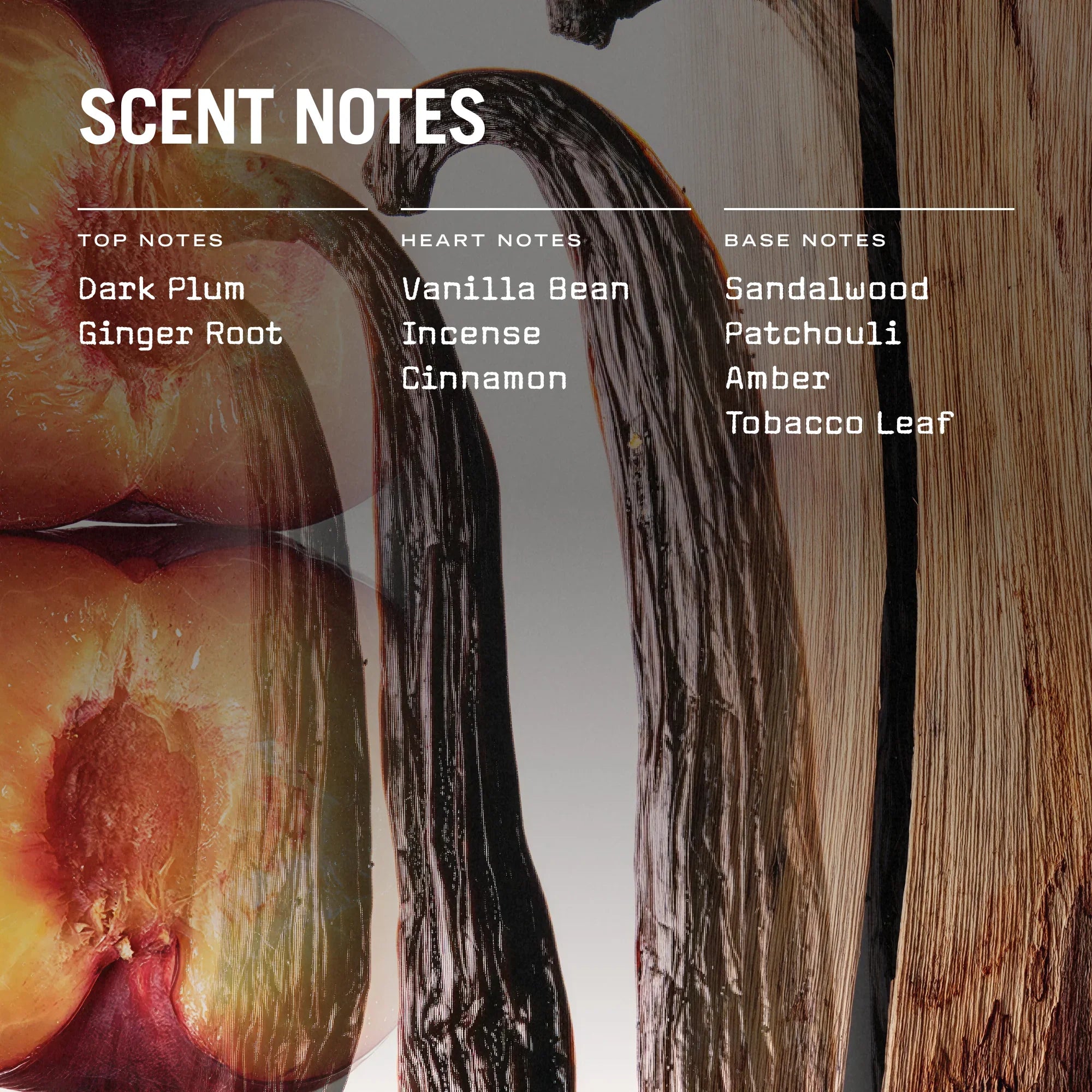 Russell + White San Marco scented soy candle in a clear glass jar with a wooden lid, showcasing its elegant design.