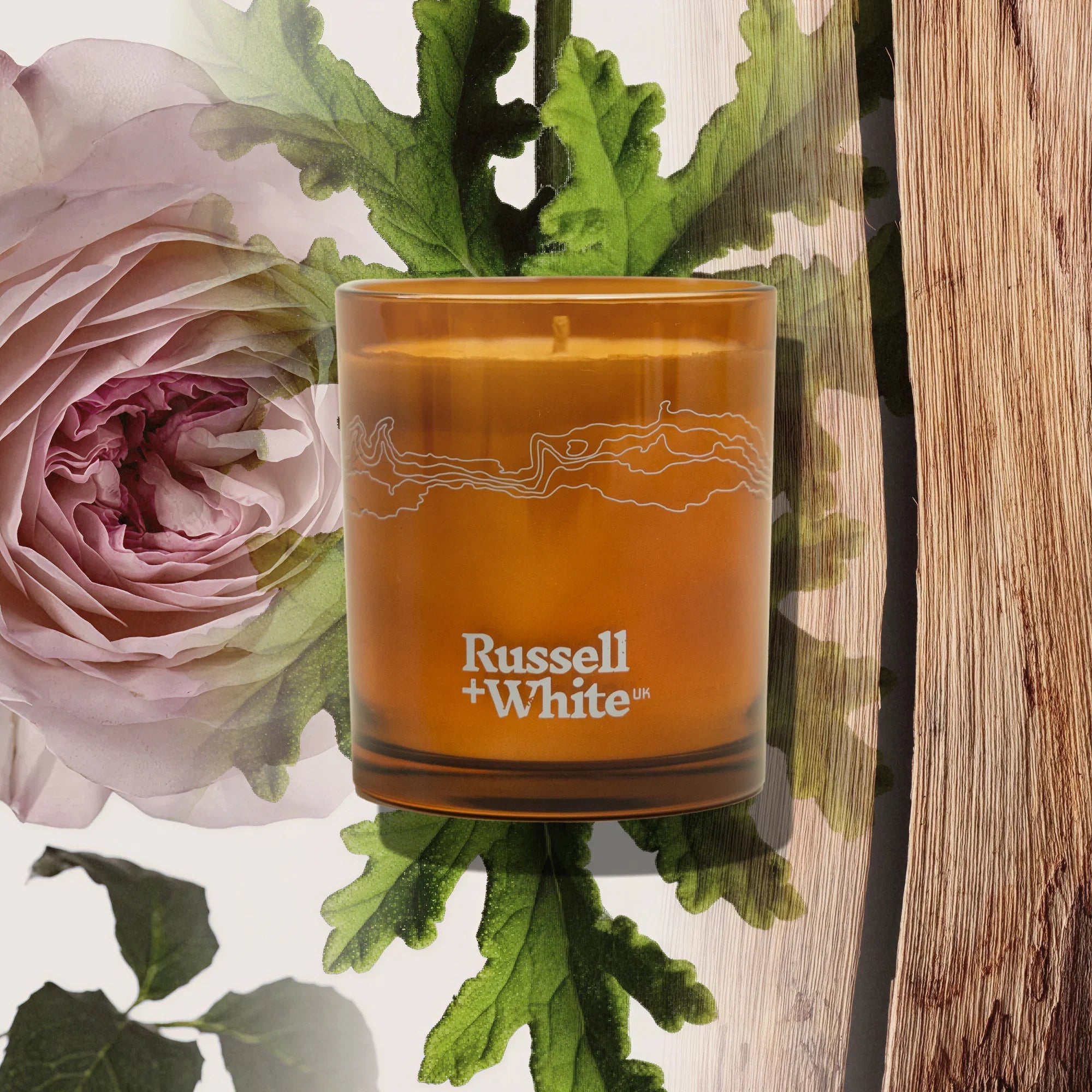 Russell + White Medina Rose scented soy candle refill in 250g package, with floral rose scent notes and natural soy wax.