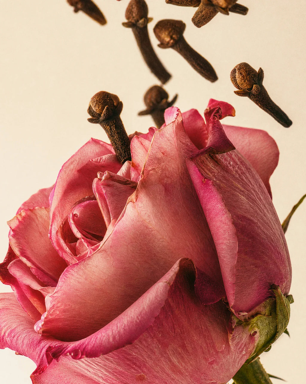 Diffuseur à roseaux Medina Rose 100ml