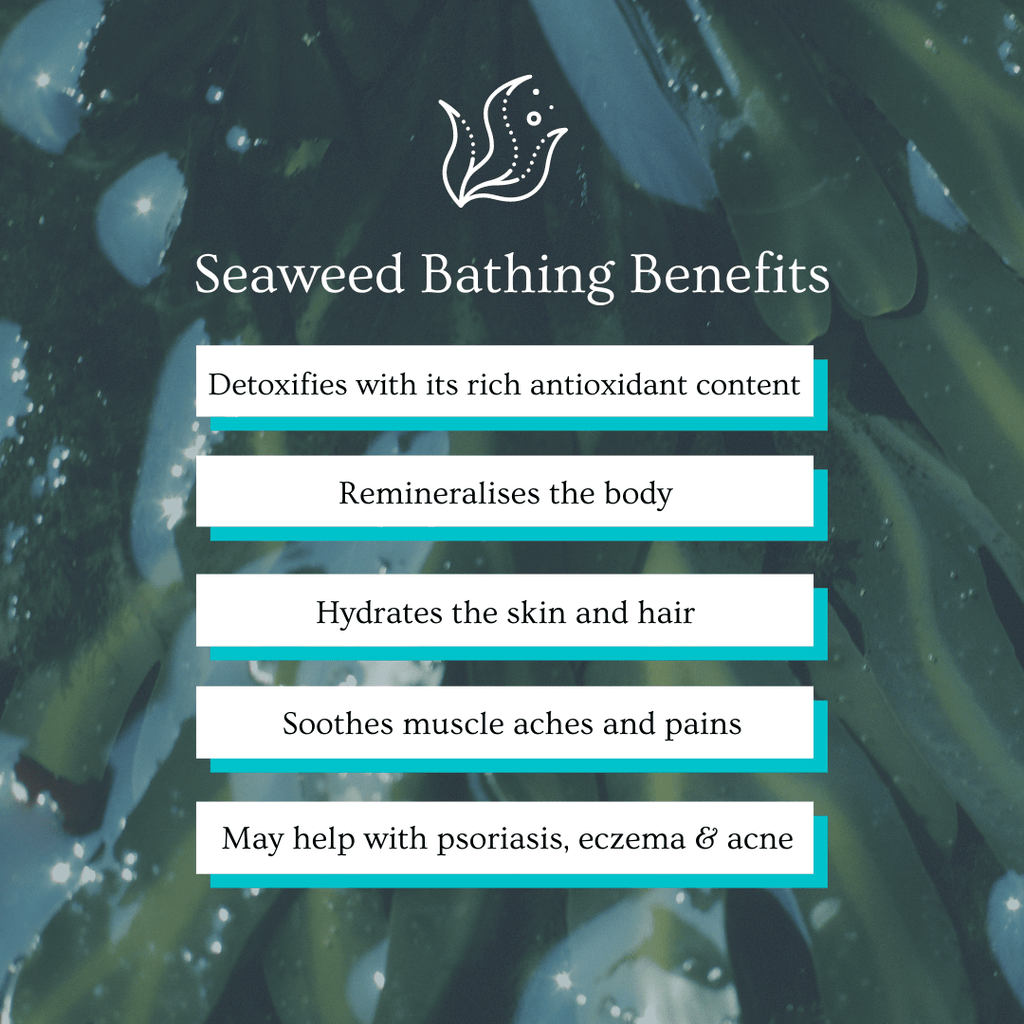 Illustration of seaweed bathing benefits for Doctor Seaweed Ishga Seaweed Bath, showing relaxing seaweed in a bath with health icons.