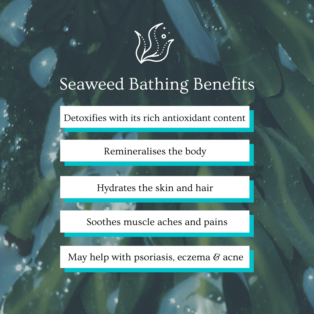 Illustration of seaweed bathing benefits for Doctor Seaweed Ishga Seaweed Bath, showing relaxing seaweed in a bath with health icons.