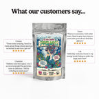 SuperMoss Sea Moss Gummies by Innooova, apple-flavored, 10 gummies, showing the colorful gummy tablets on a white background.