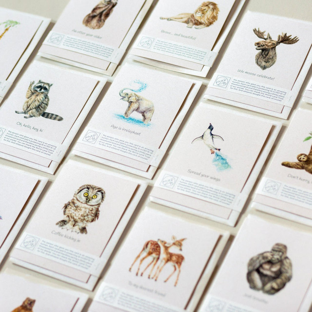 Trouvaille animal lover charity greeting card with wildlife design, featuring colorful illustrations of various animals.