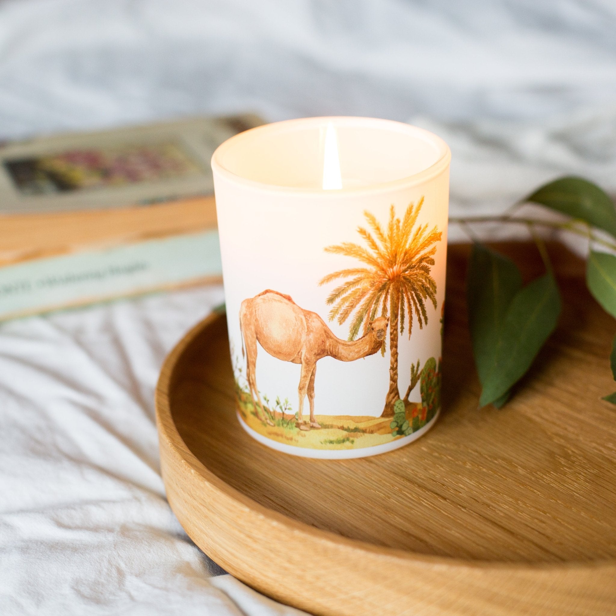 Desert Soy Scented Candle by Trouvaille with warm cinnamon and bergamot, featuring a desert-inspired nature design for home decor.