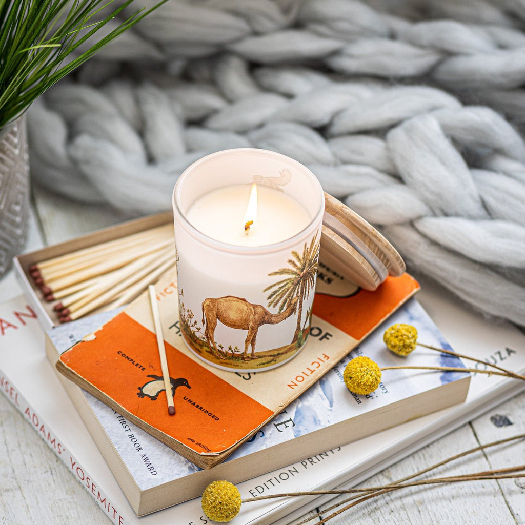 Trouvaille Desert Soy Scented Candle with warming cinnamon and fresh bergamot, displayed in a clear glass holder.