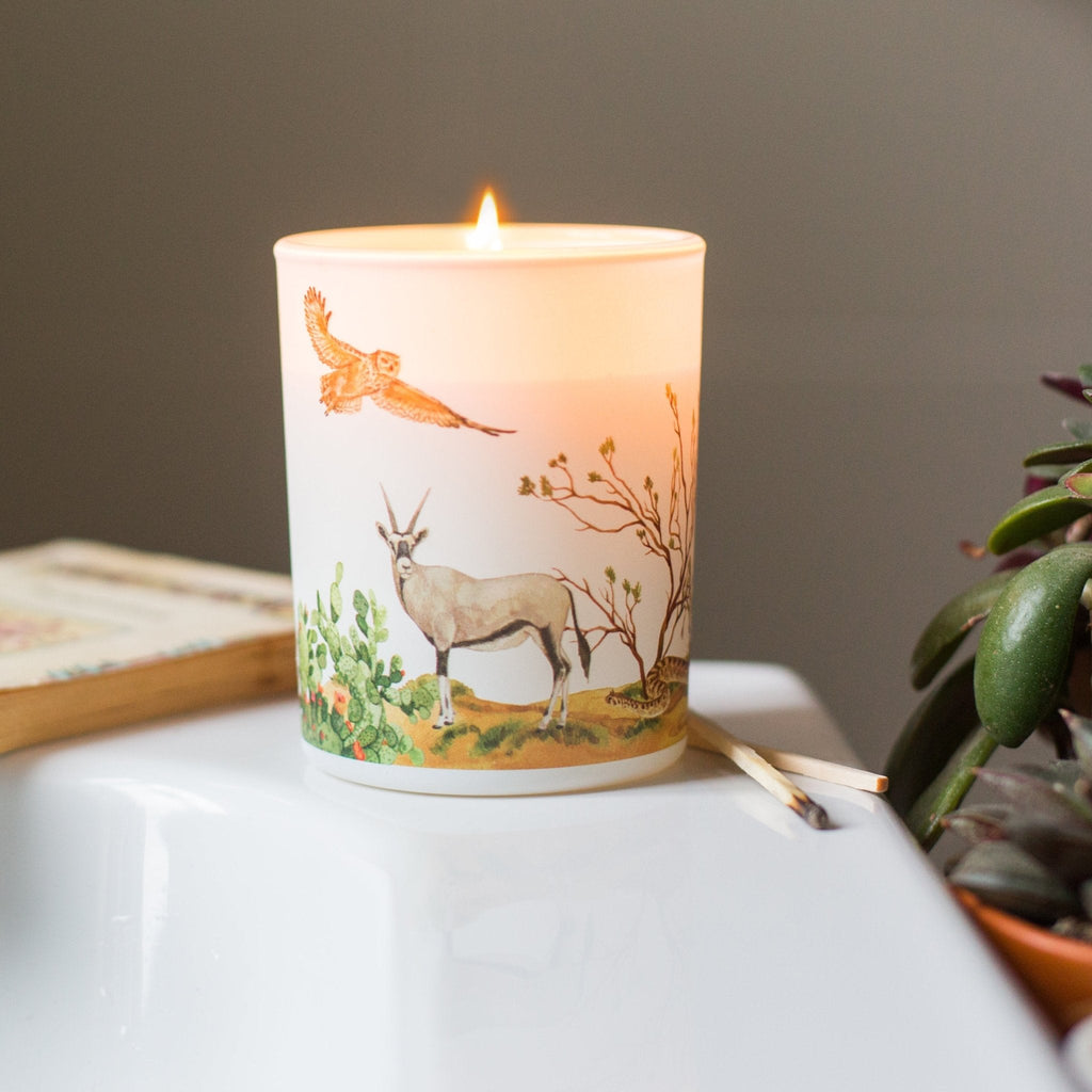 Trouvaille Desert Soy Scented Candle with warming cinnamon and bergamot, lit and glowing in a cozy setting.