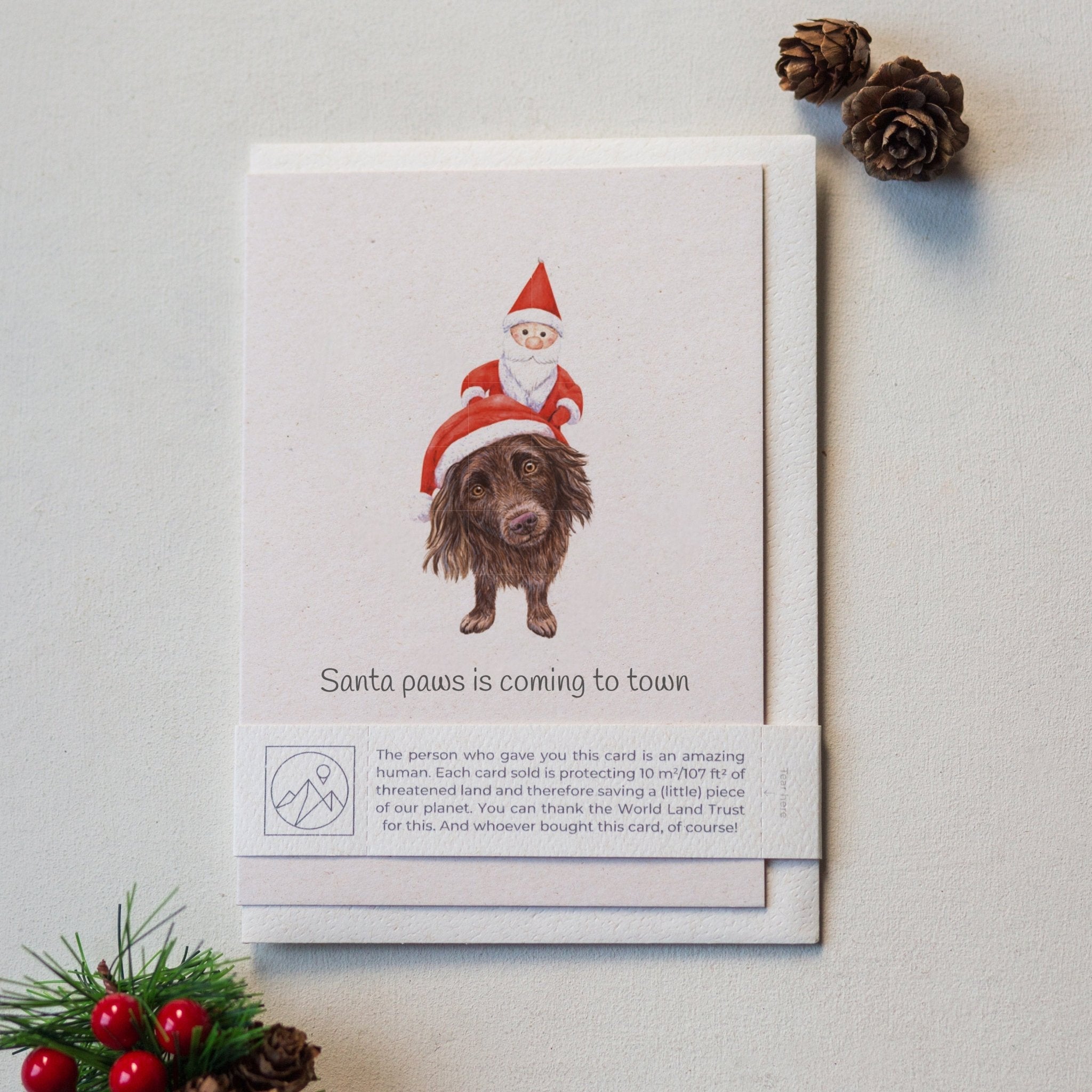 Trouvaille Animal Lover Charity Greeting Card featuring a dog dressed as Santa Paws for Christmas, with wildlife-themed design.