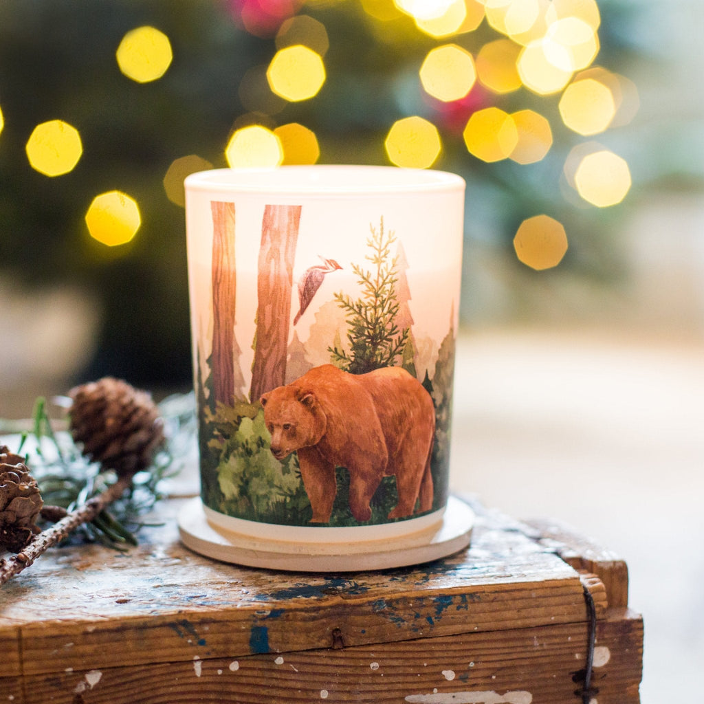 Trouvaille Forest Soy Scented Candle with balsam fir and wild berries, creating a cozy, natural home ambiance.