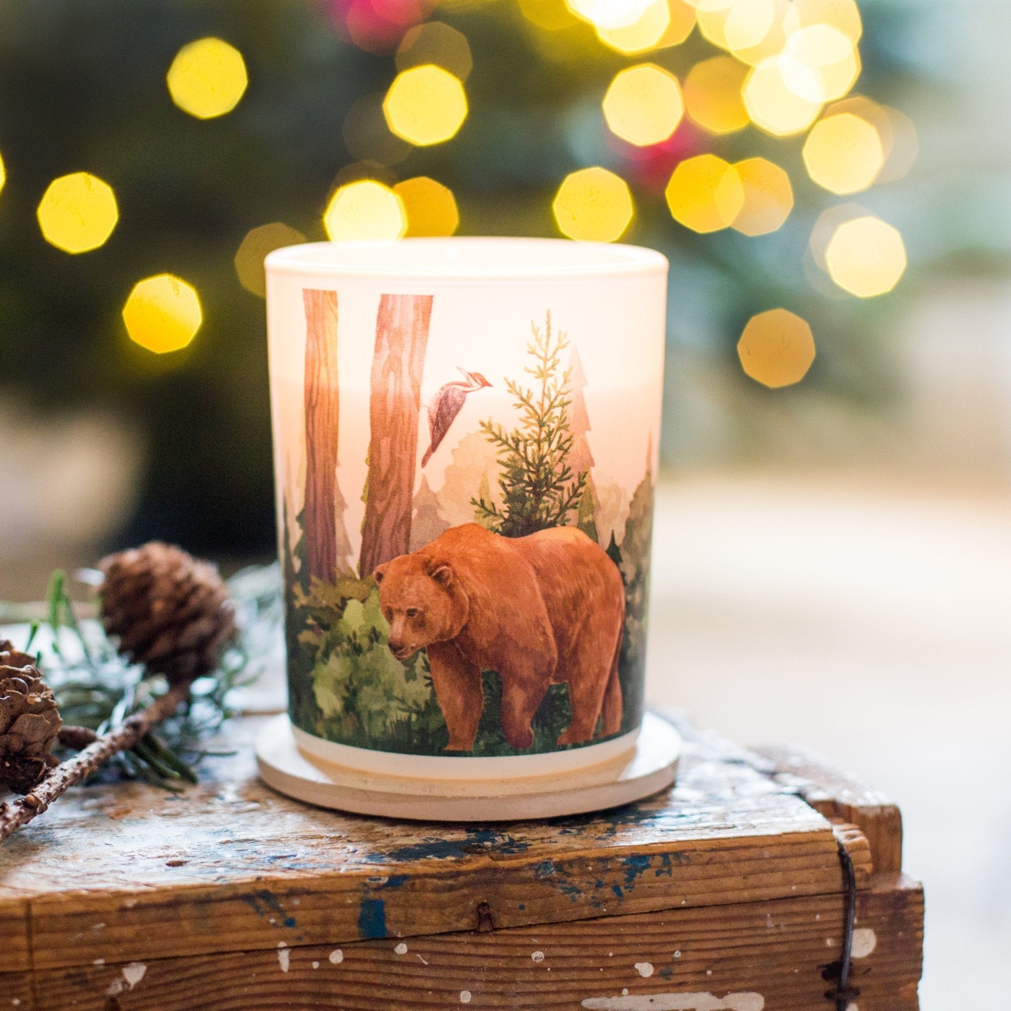 Trouvaille Forest Soy Scented Candle with balsam fir and wild berries, creating a cozy, natural home ambiance.