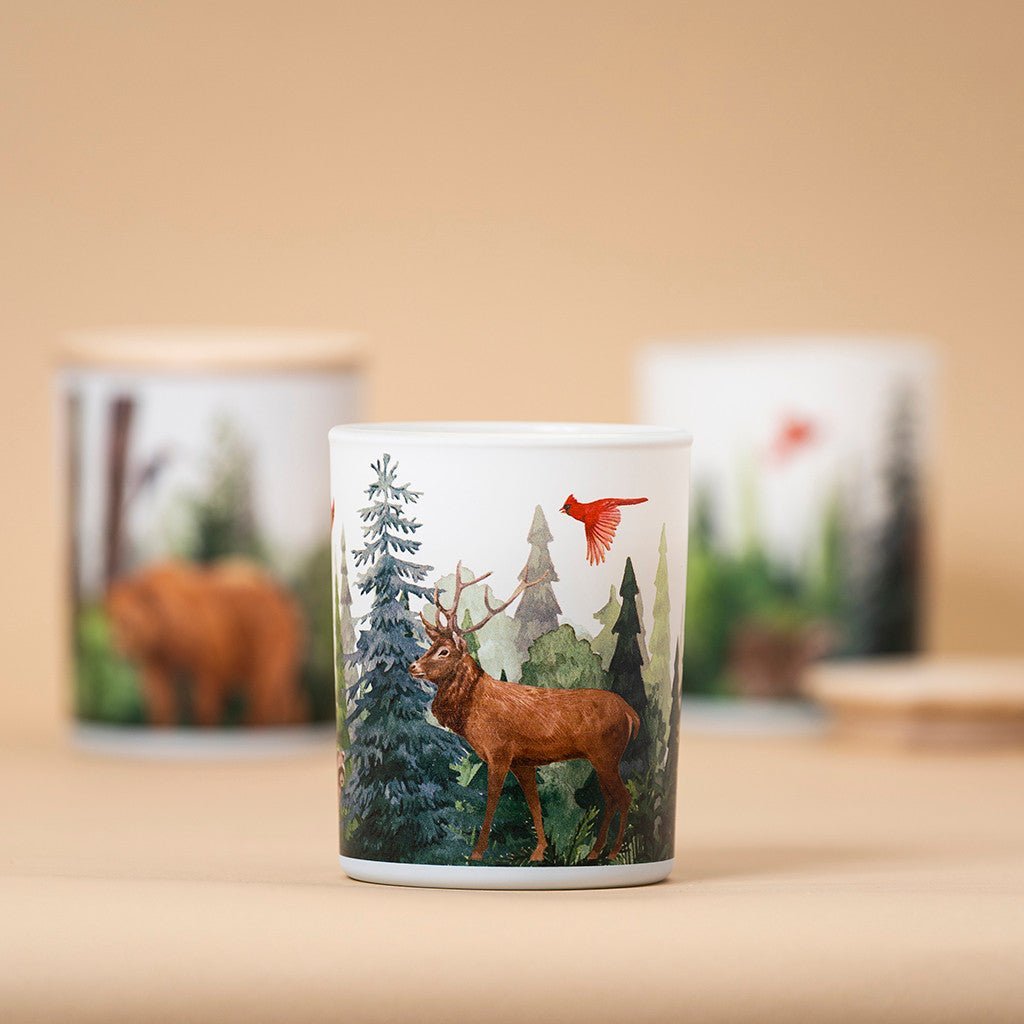 Trouvaille Forest Soy Scented Candle with Balsam Fir and Wild Berries, showcasing a cozy candle in a glass holder.