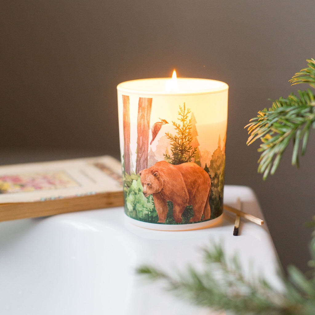 Trouvaille Forest Soy Scented Candle with Balsam Fir and Wild Berries, showcasing a cozy candle in a glass jar.