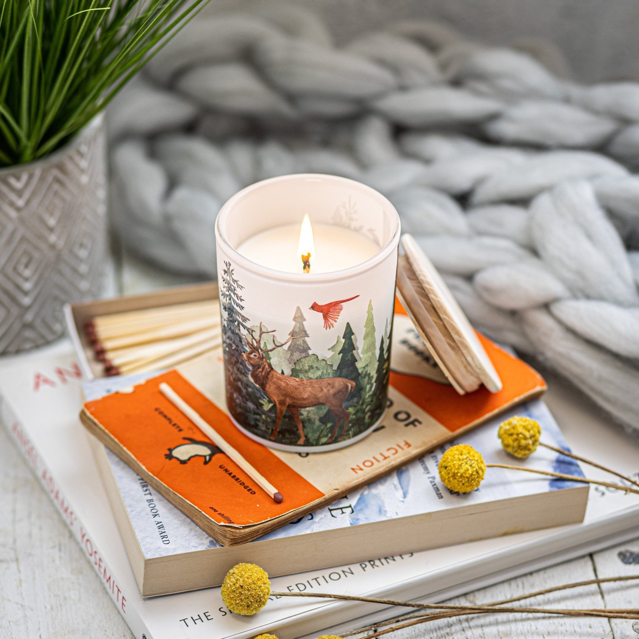 Trouvaille Forest Soy Scented Candle with Balsam Fir and Wild Berries, eco-friendly candle on a cozy wooden surface.