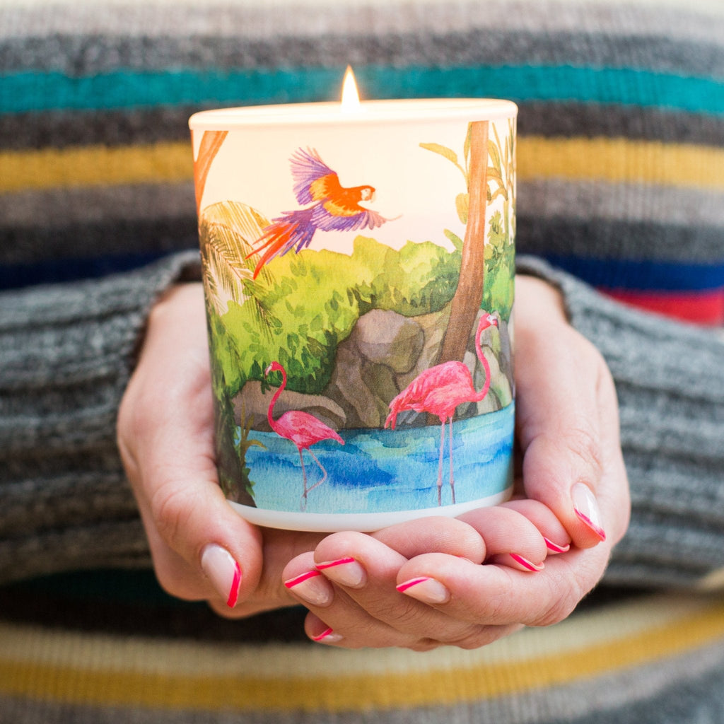 Trouvaille freshwater soy scented candle with tropical blend, eco-friendly candle ideal for nature lovers, displayed with candles and greenery.