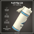 NFL Carolina Panthers insulated steel water bottle by ION8, 750ml (24oz), with team logo and durable stainless steel design.