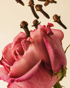Russell + White Medina Rose 100ml reed diffuser with elegant glass bottle and reed sticks for floral home fragrance.