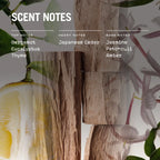 Russell + White Sugi scented soy candle refill in 250g package, natural soy wax for refillable candles.