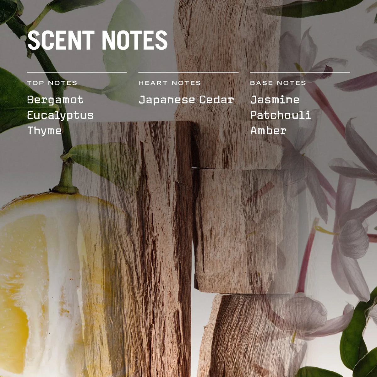 Russell + White Sugi scented soy candle refill in 250g package, natural soy wax for refillable candles.