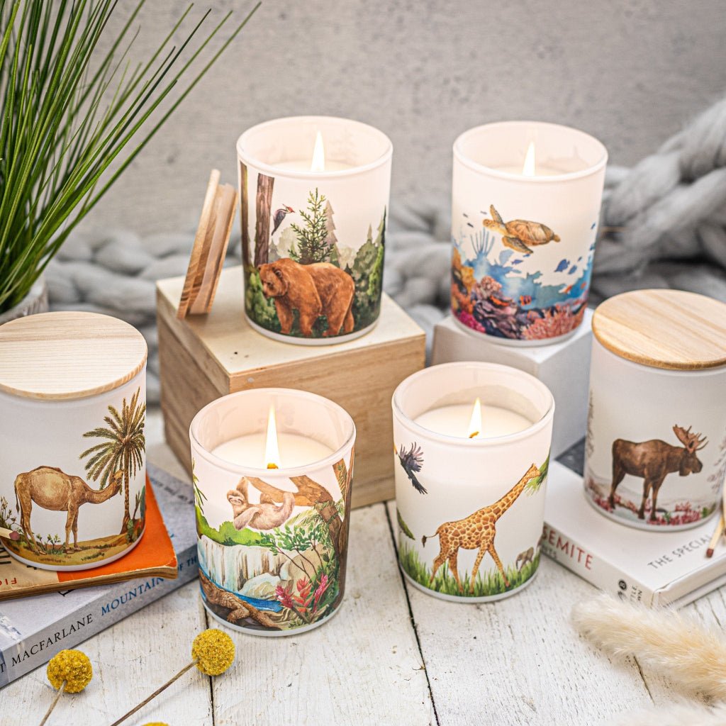Trouvaille Forest Soy Scented Candle with Balsam Fir and Wild Berries, showcasing a square soy candle in a natural setting