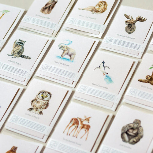 Trouvaille animal lover charity greeting card with wildlife design, featuring colorful illustrations of various animals.