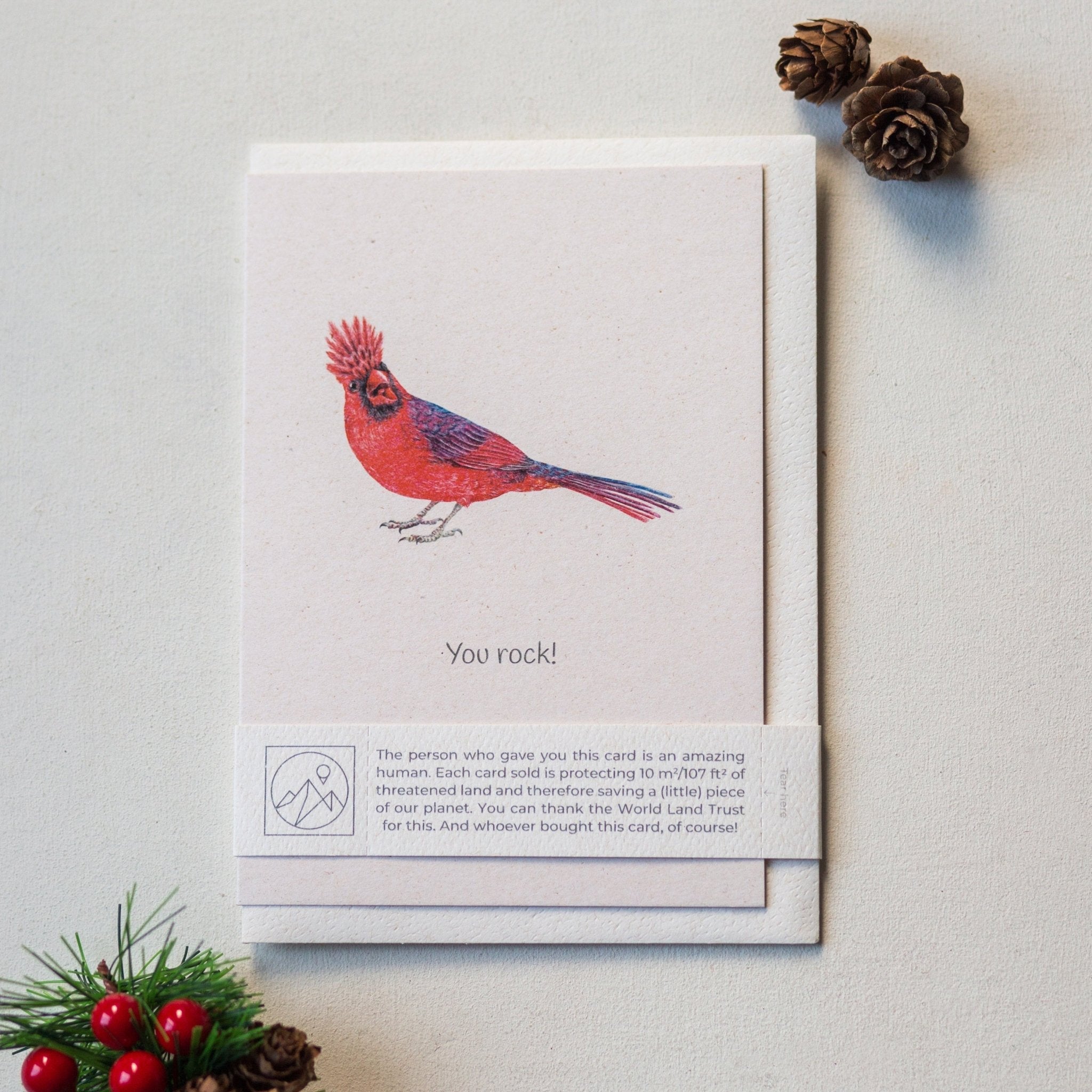 Animal Lover Charity Greeting Card