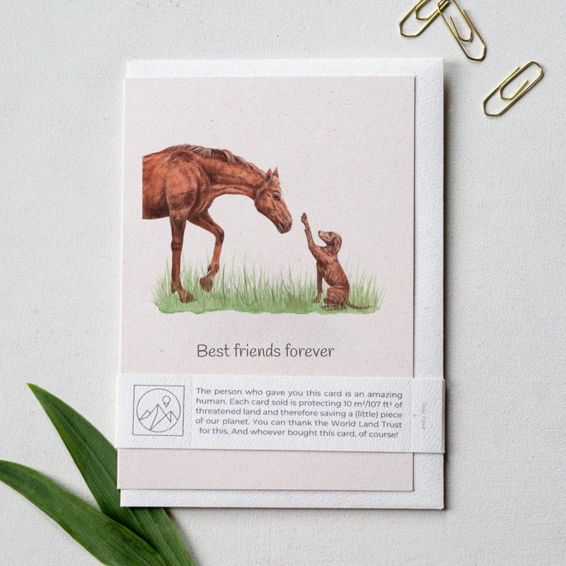 Animal Lover Charity Greeting Card