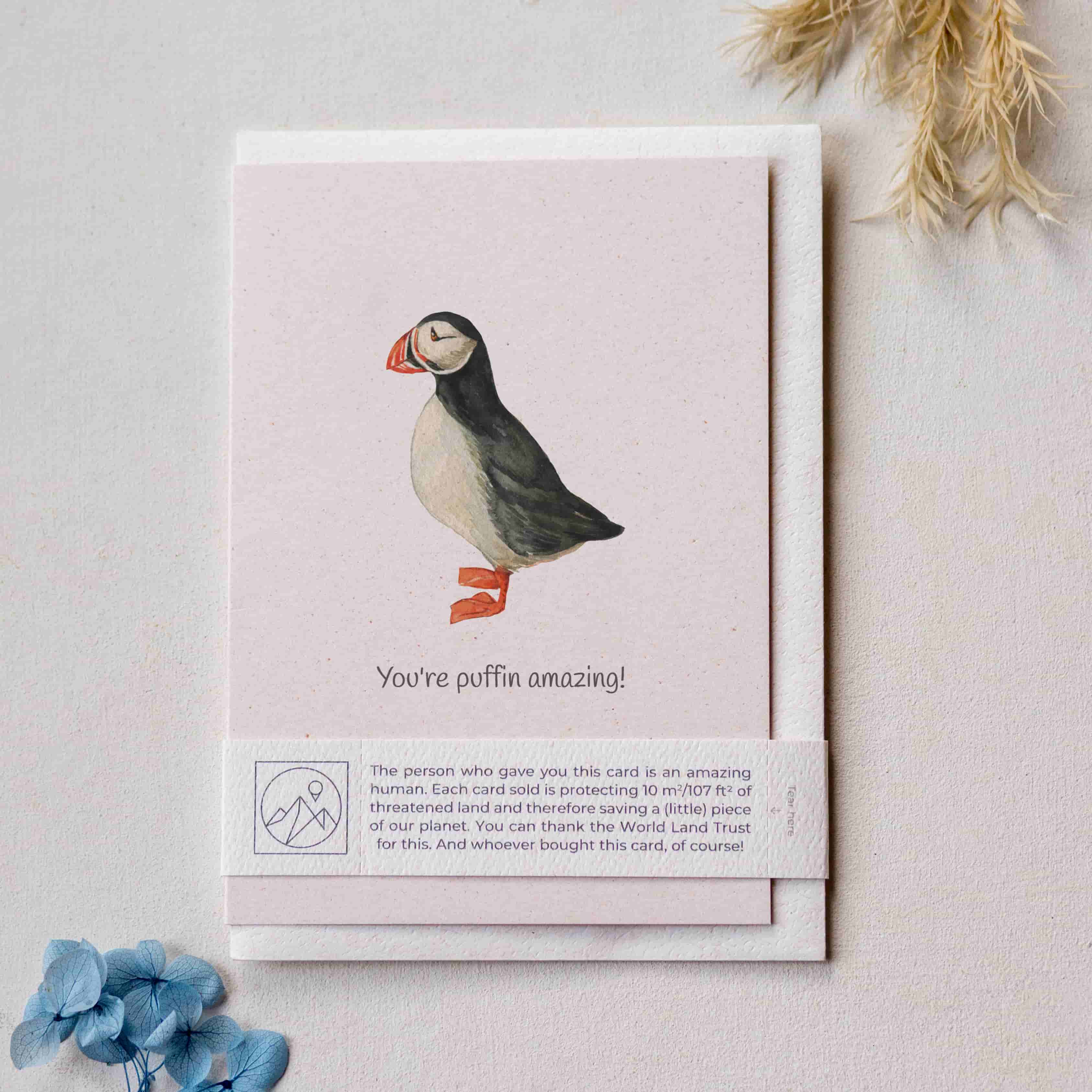 Animal Lover Charity Greeting Card