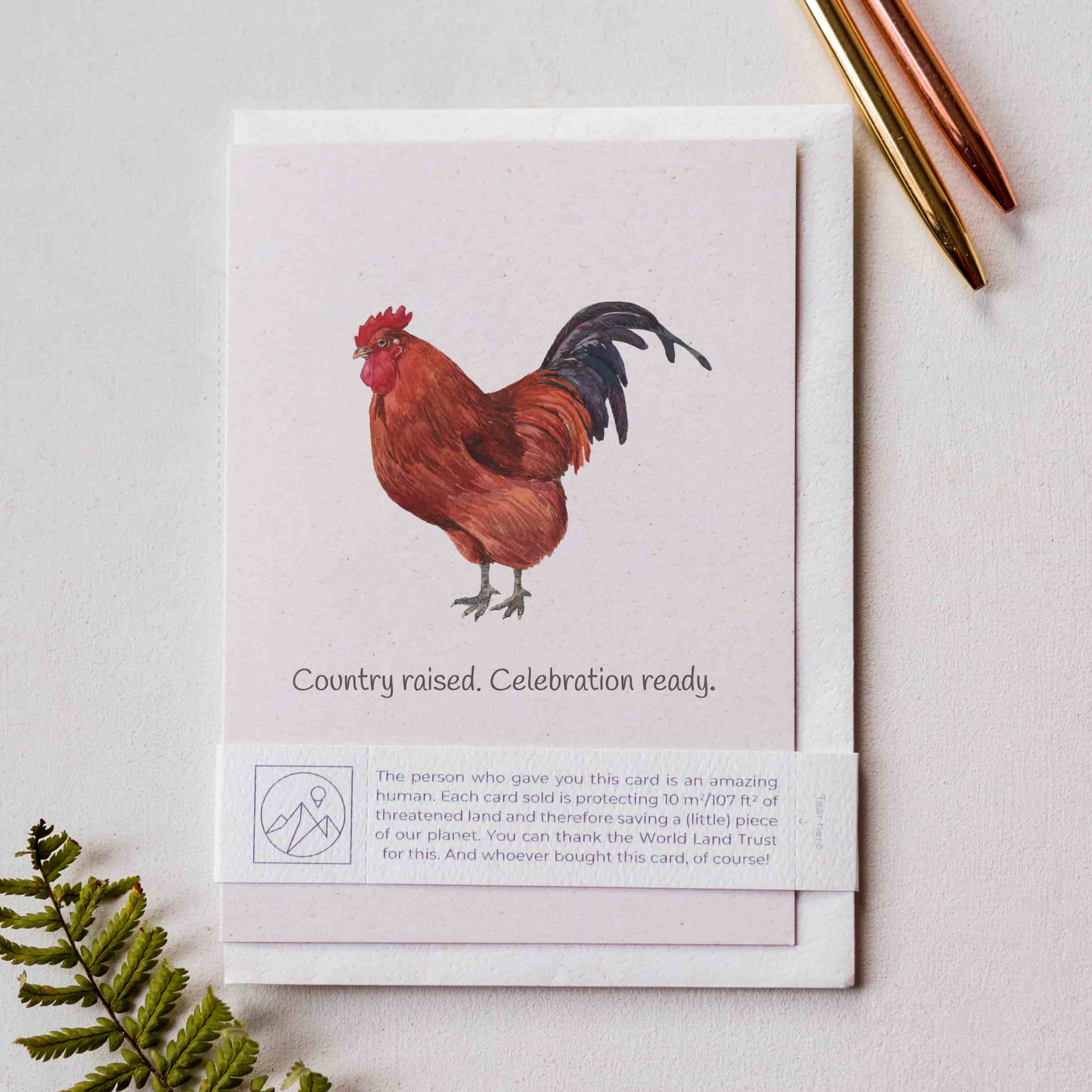 Animal Lover Charity Greeting Card