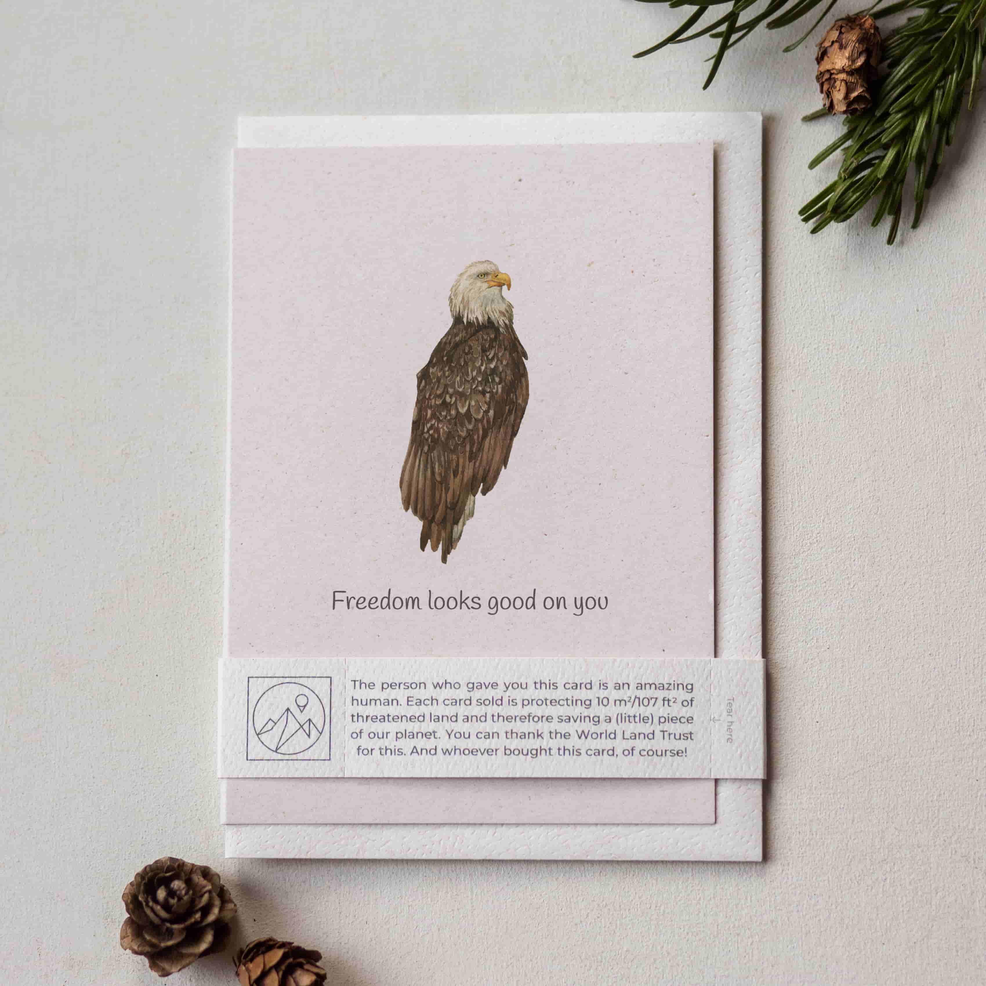 Animal Lover Charity Greeting Card