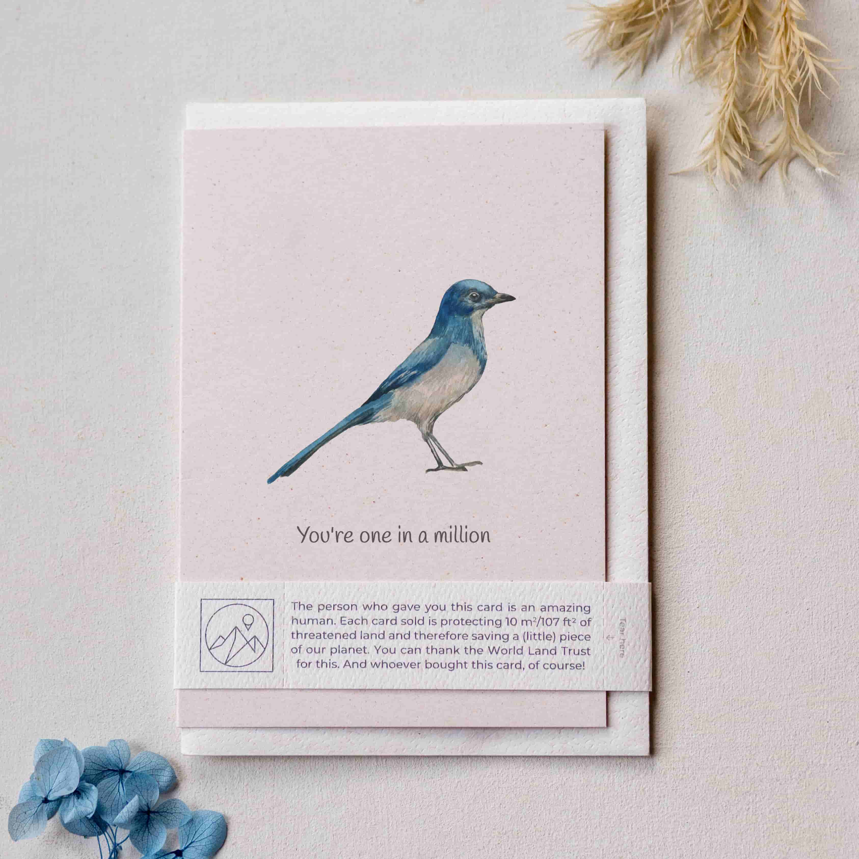 Animal Lover Charity Greeting Card