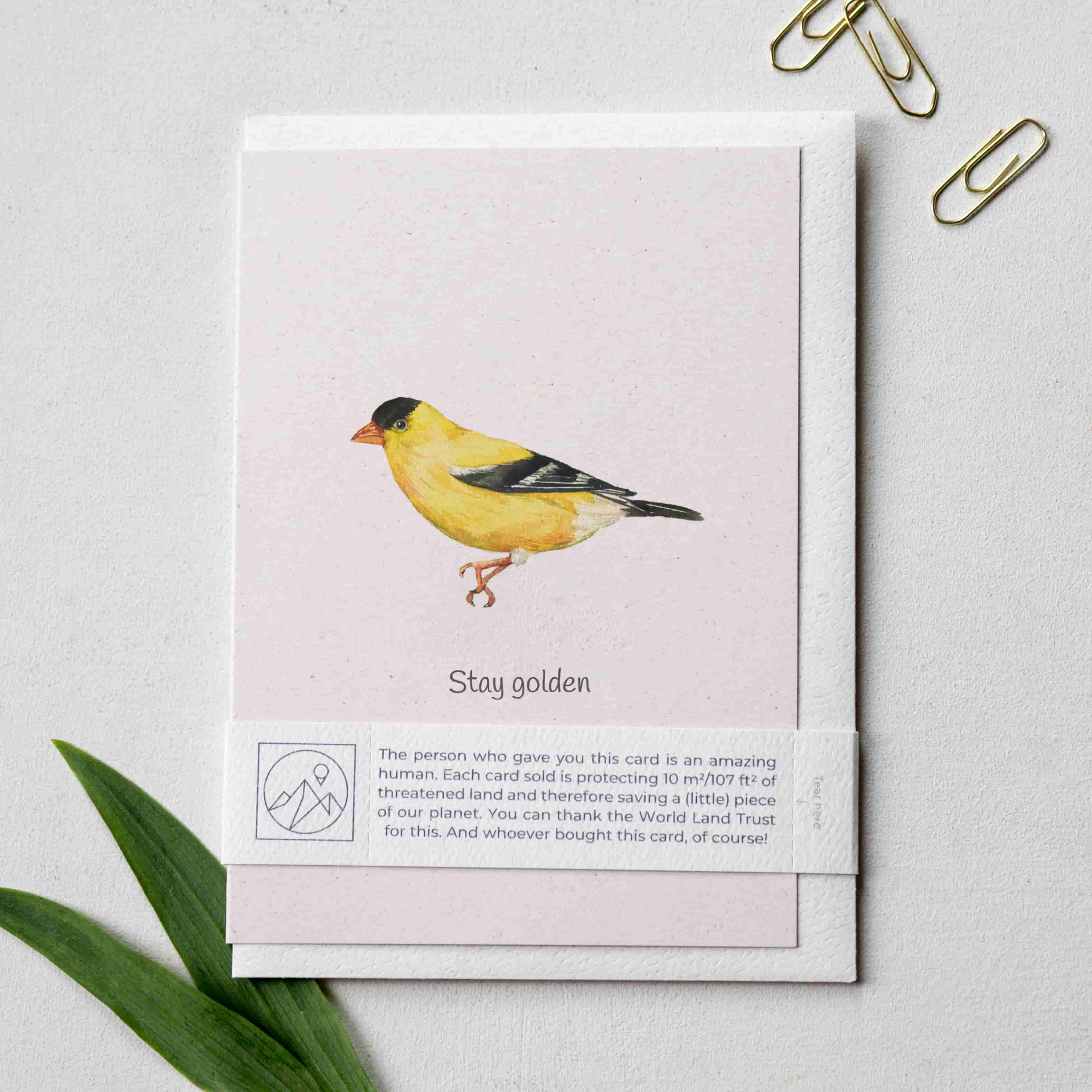 Animal Lover Charity Greeting Card