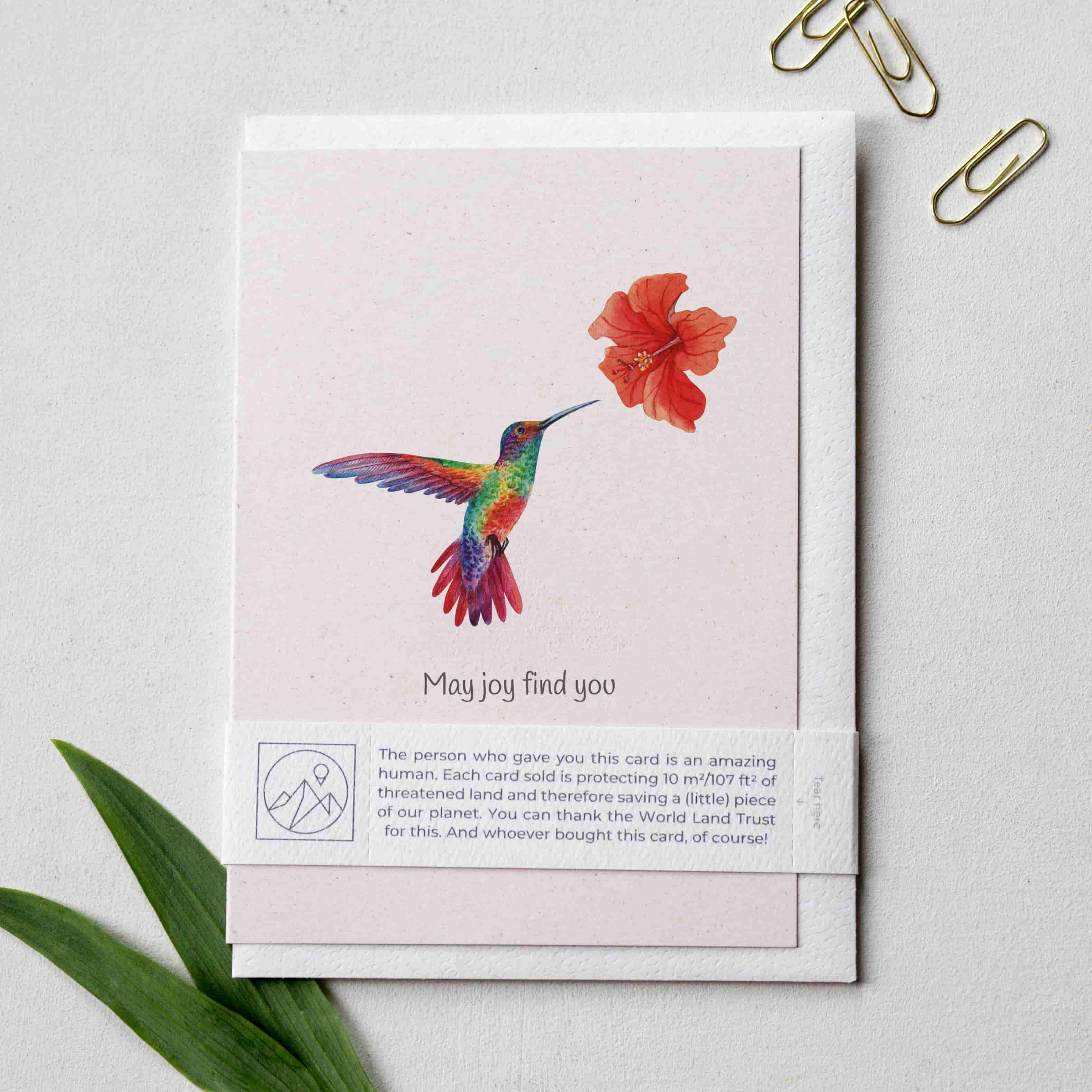 Animal Lover Charity Greeting Card