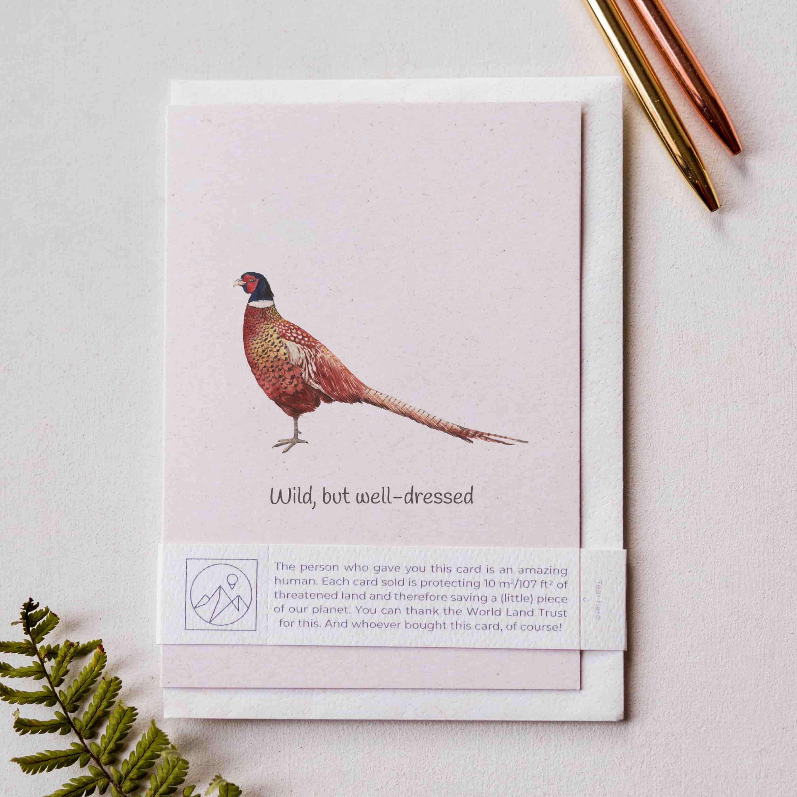 Animal Lover Charity Greeting Card