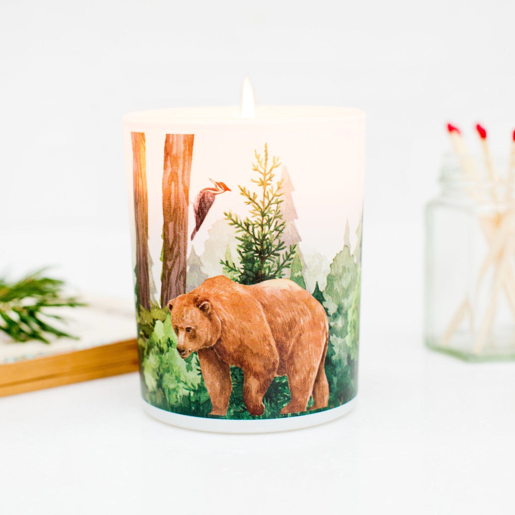 Trouvaille Forest Soy Scented Candle with Balsam Fir and Wild Berries, showing a cozy candle in a woodland setting.
